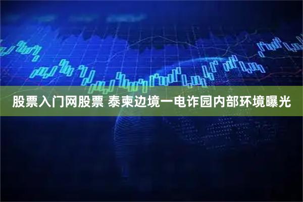 股票入门网股票 泰柬边境一电诈园内部环境曝光